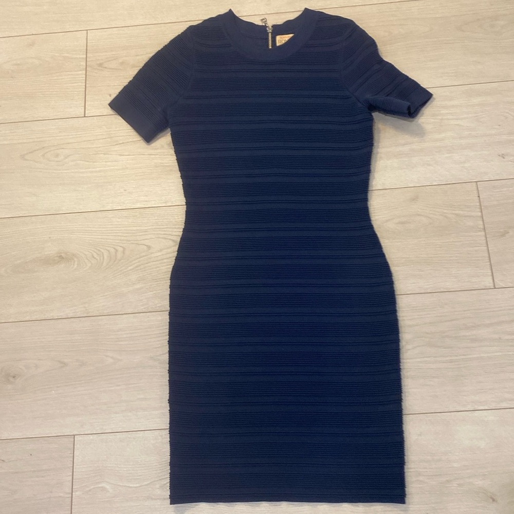 Torn by Ronny Kobo Dress